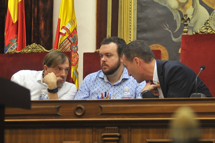 Pleno en el Ayuntamiento de Elche