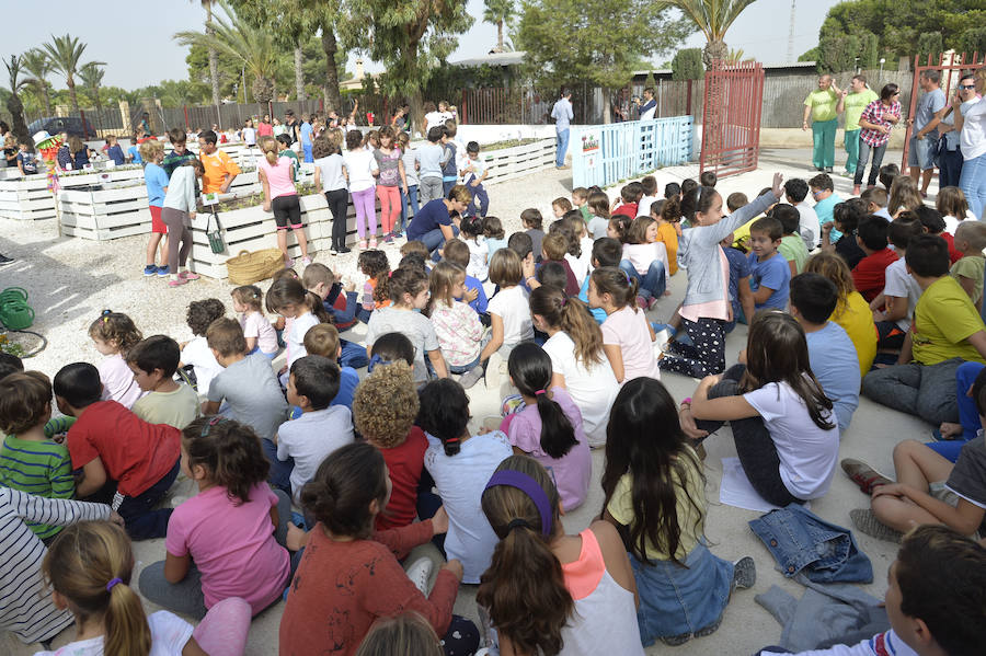 Huerto de la Asociación Tamarit en el CP Valverde