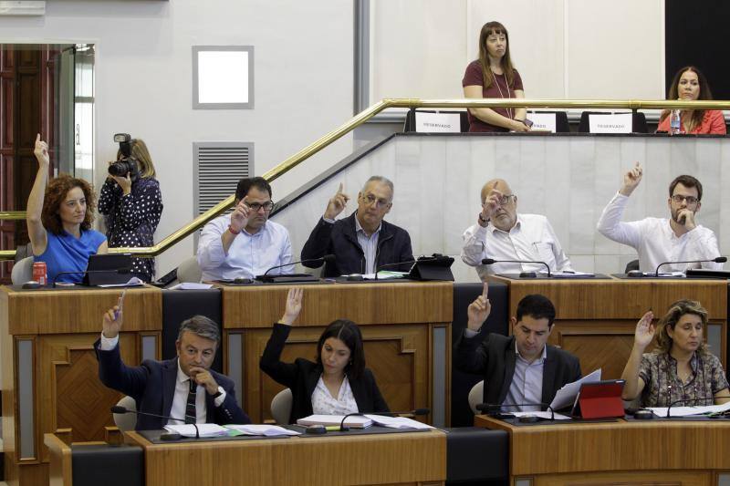 Las imágenes del último pleno de la Diputación