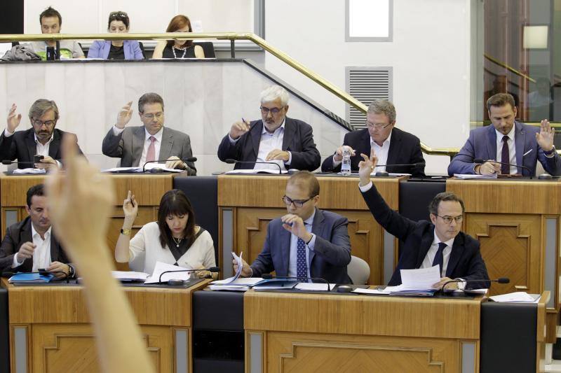 Las imágenes del último pleno de la Diputación