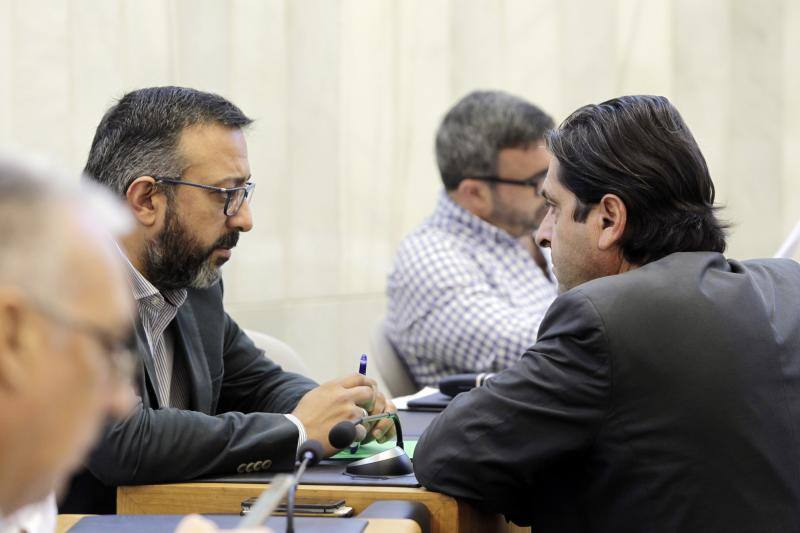 Las imágenes del último pleno de la Diputación