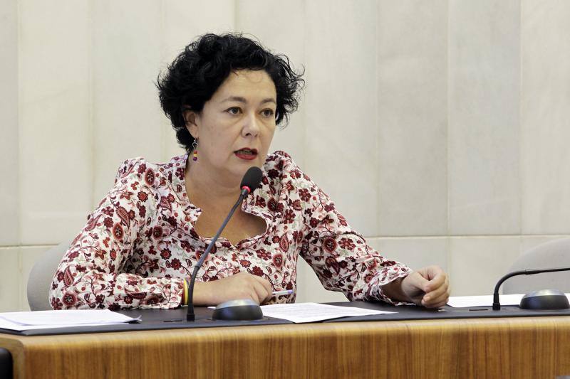 Las imágenes del último pleno de la Diputación