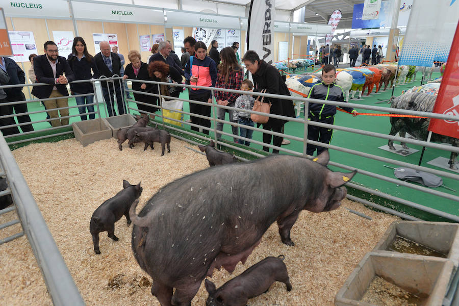 Arte de pata negra en &#039;Iberian Pork Parade&#039;