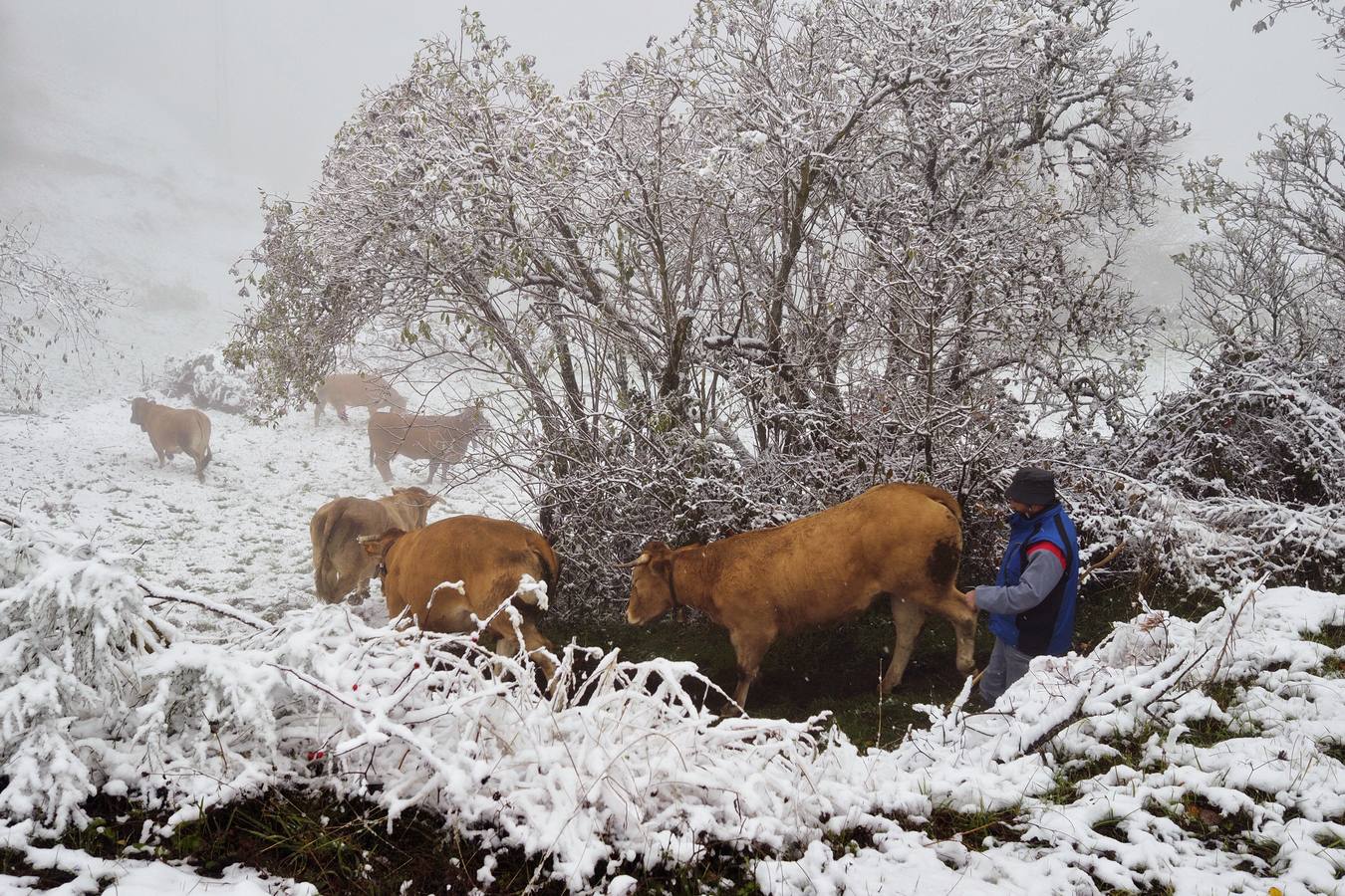 Primeras nieves