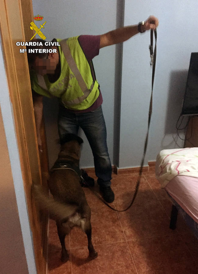 Doce detenidos por una veintena de robos violentos con armas de fuego