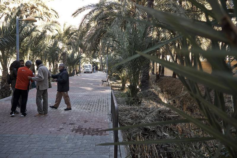 La Asociación Palmeral Vivo se presta a limpiar a mano el Azarbe de Las Fuentes