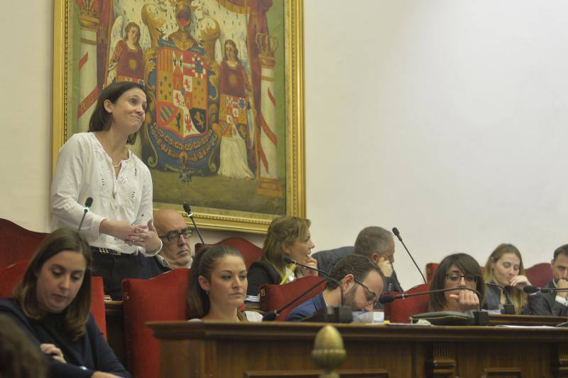 Las imágenes del pleno del Ayuntamiento de Elche