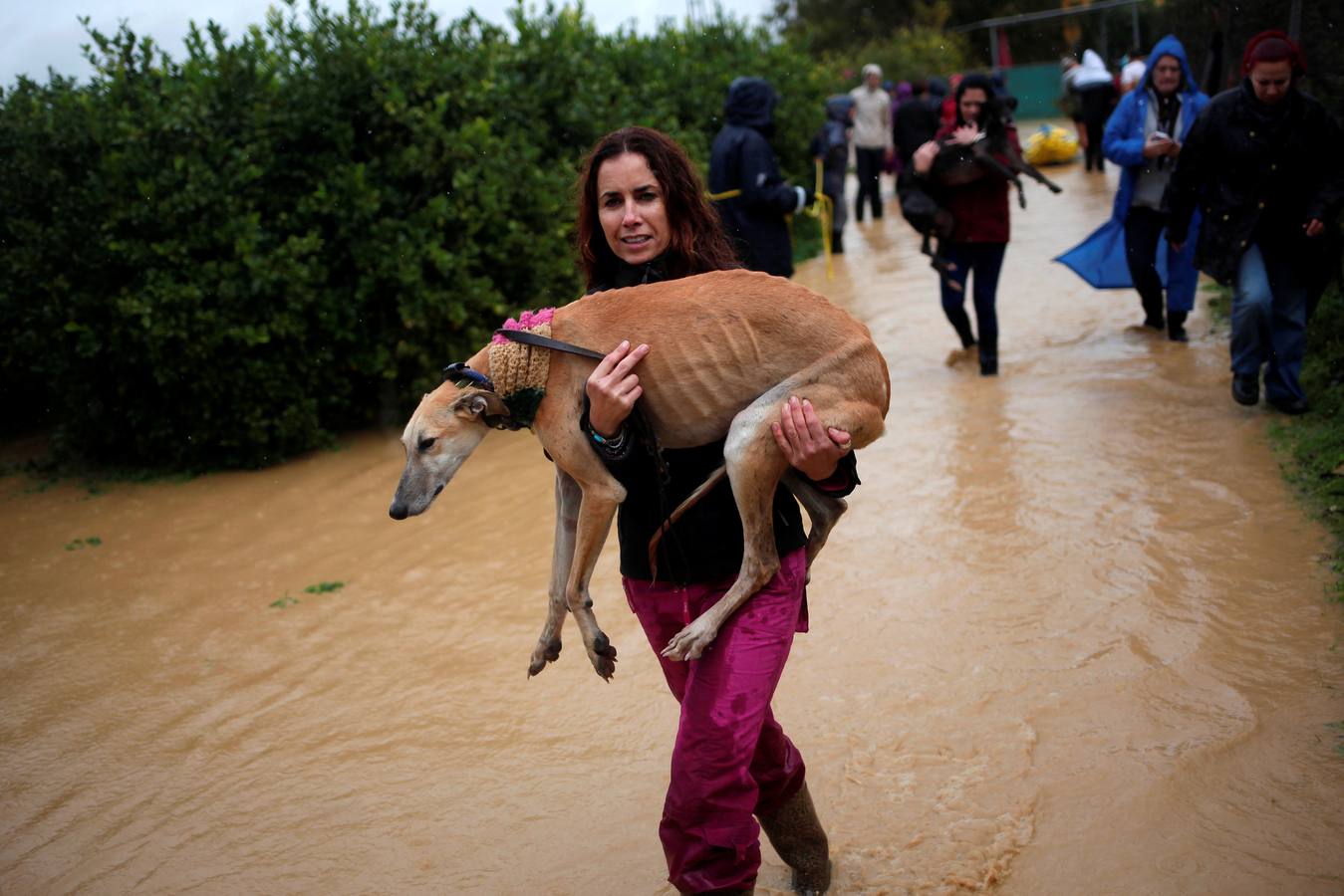 Málaga bajo el agua