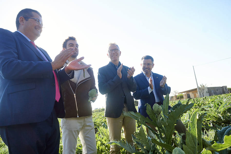 La estabilidad del precio de la alcachofa favorece su cultivo