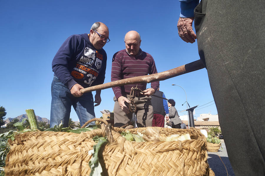 La estabilidad del precio de la alcachofa favorece su cultivo