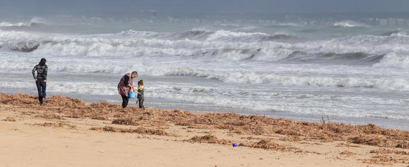 Desembocadura del Segura en Guardamar