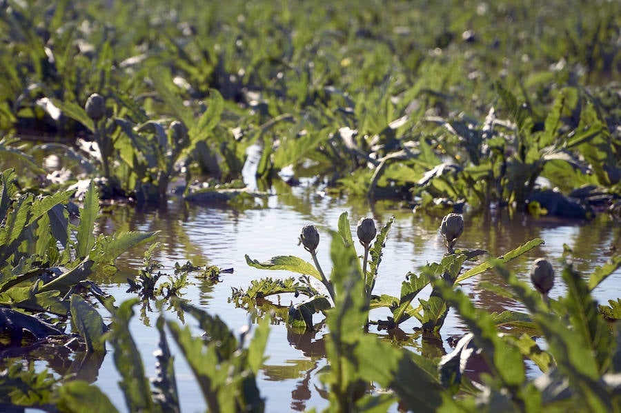 Las causas del temporal en Orihuela y alrededores