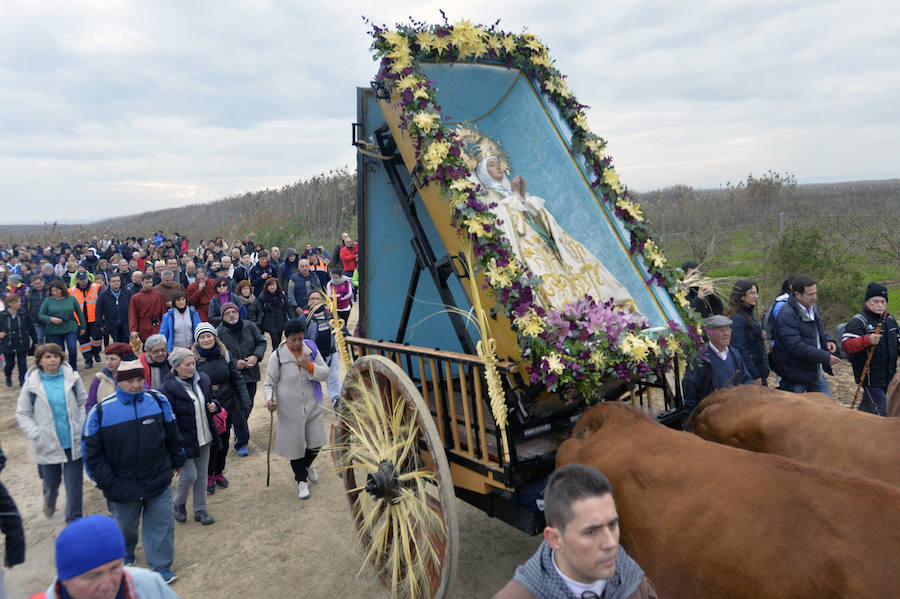 Jubiloso recibimiento a la Virgen