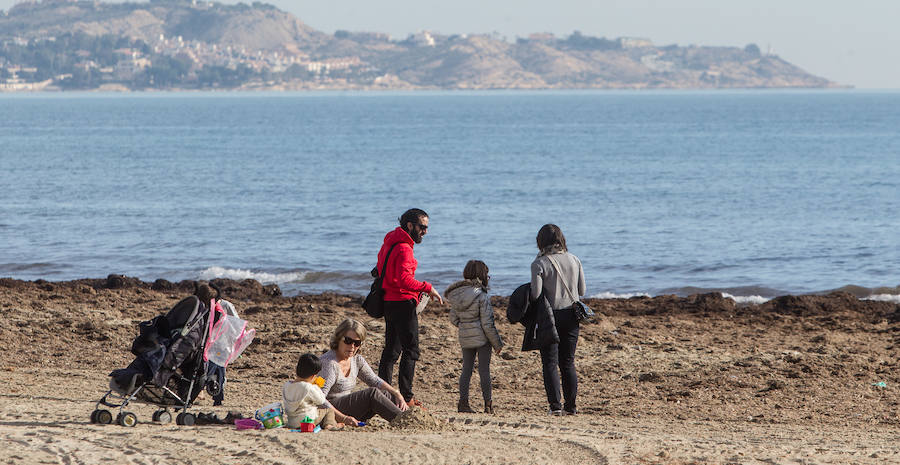 Las playas siguen llenas de algas dos semanas después del temporal