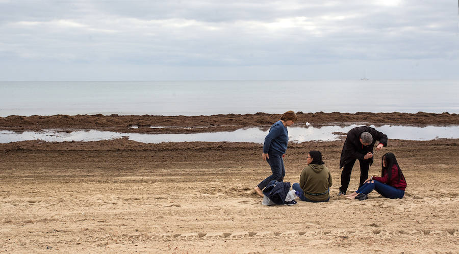 Las playas siguen llenas de algas dos semanas después del temporal