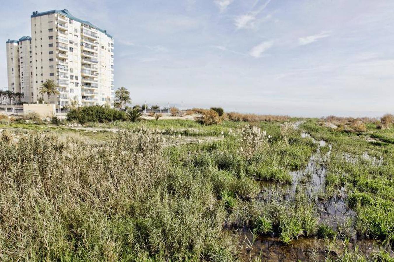 Desembocadura del río Seco en El Campello