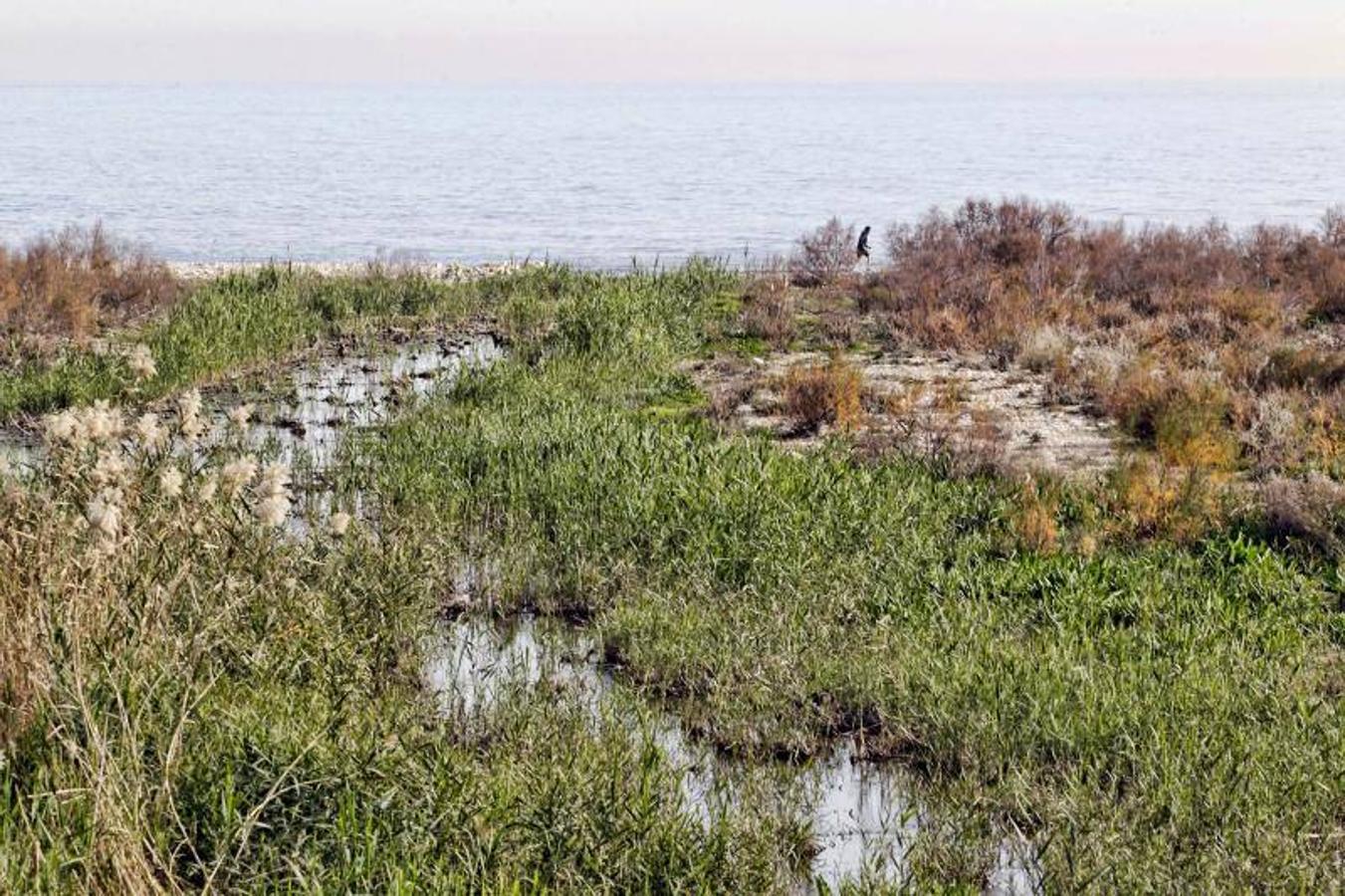 Desembocadura del río Seco en El Campello