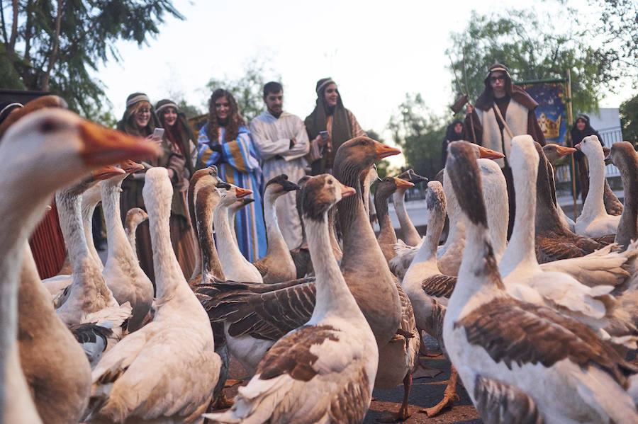 Cabalgata de Reyes en Orihuela