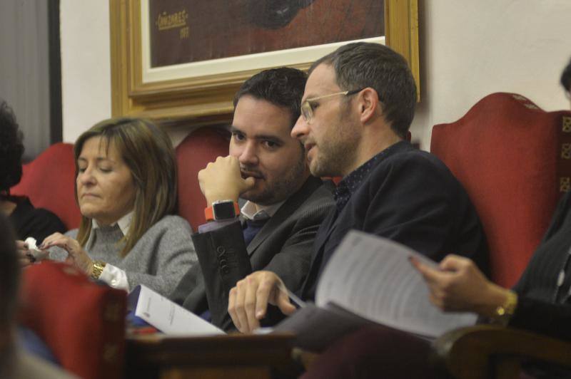 Las imágenes del pleno extraordinario del Ayuntamiento de Elche