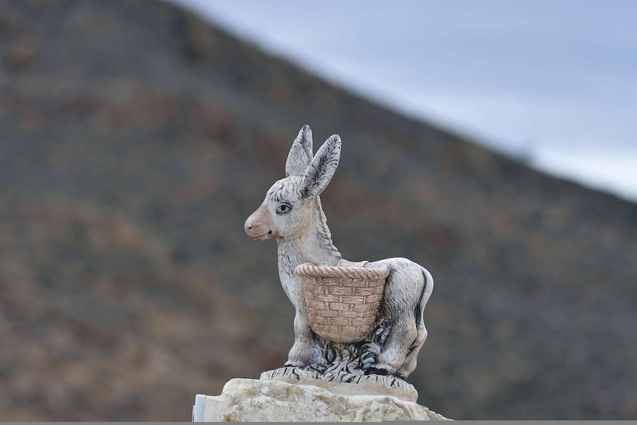 La Fiesta del Rebuzno