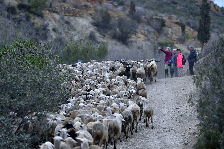 La Fiesta del Rebuzno