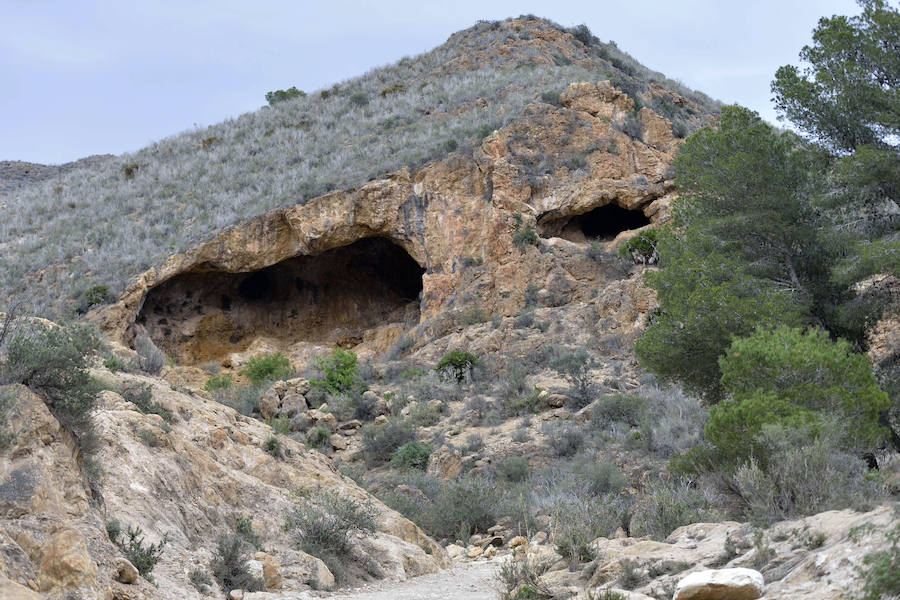 La Fiesta del Rebuzno