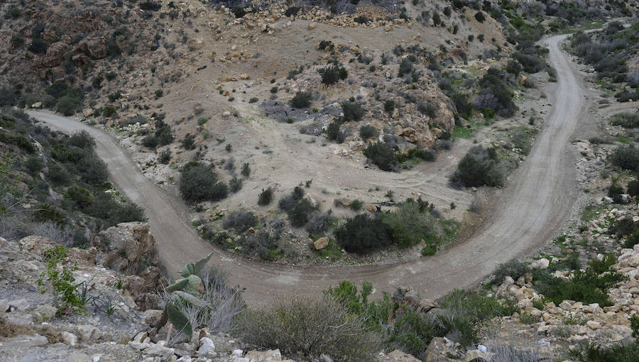 La Fiesta del Rebuzno