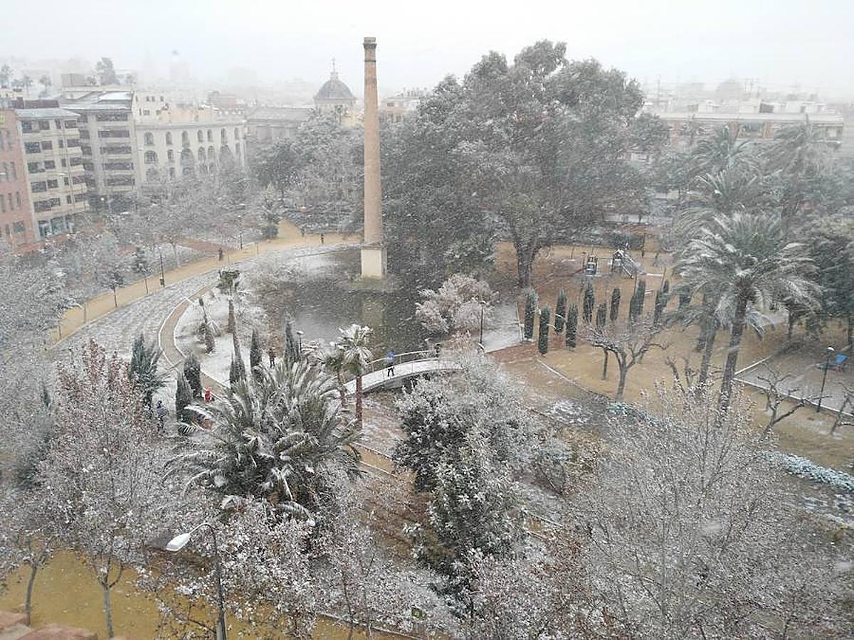Nieve en el jardín de la seda, Murcia.