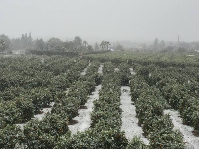 Imagen de un campo de Alhama de Murcia con nieve.