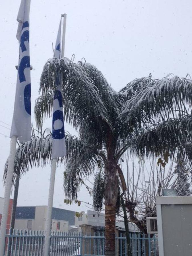 Polígono Oeste de San Ginés