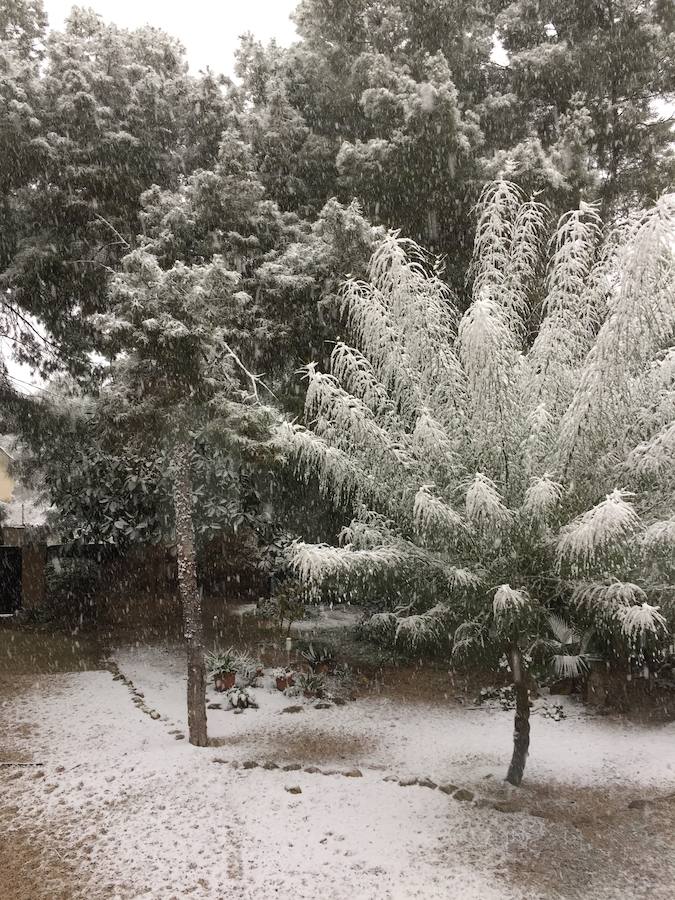 Nevada en La Alberca.