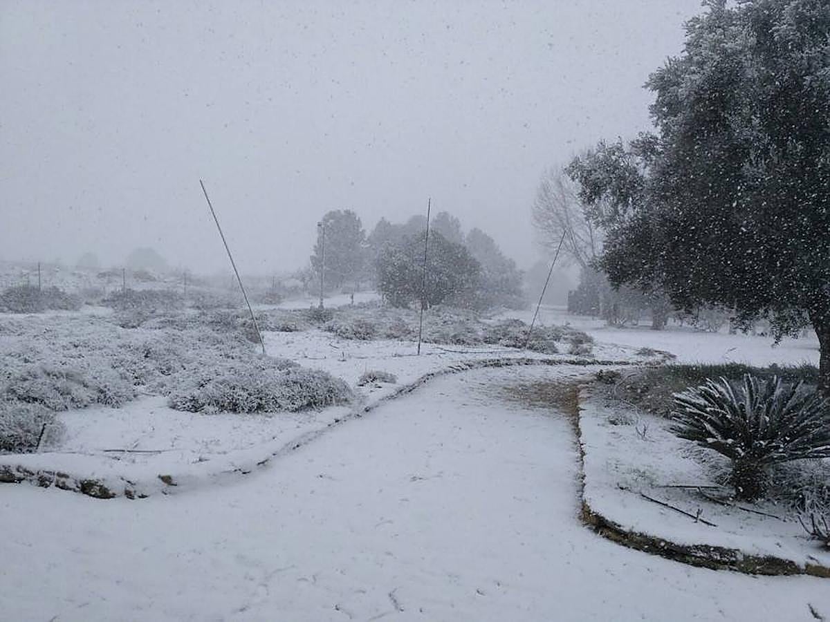 Así fue la nevada en El Carche.