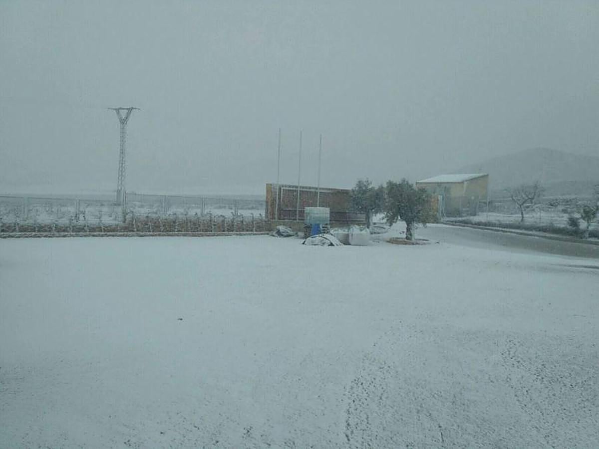 El Carche se tiñe de blanco a causa del temporal.