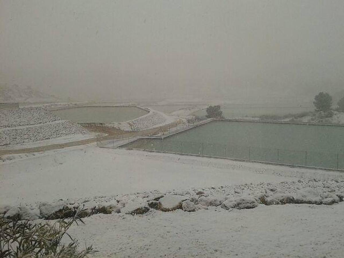 Varios embalses en el paraje Salero de la Rosa, en la Sierra de El Carche.