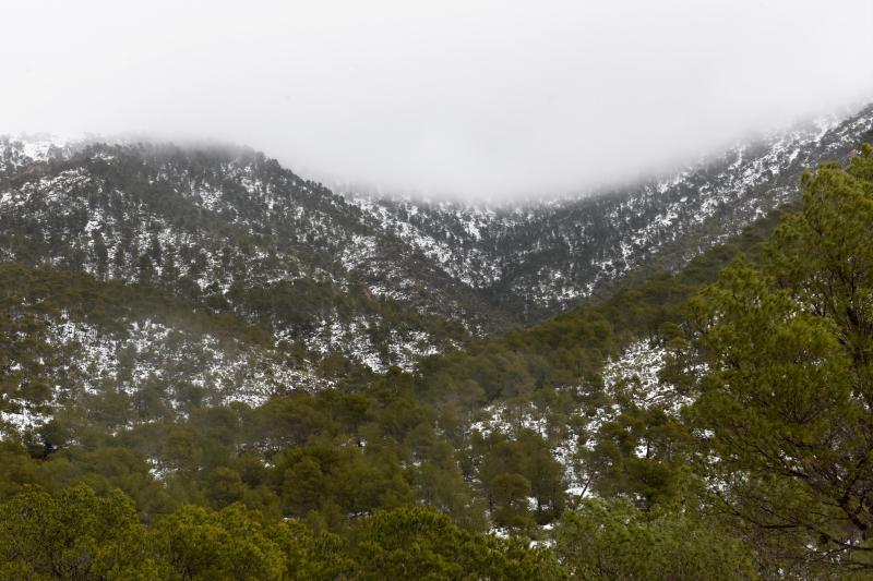 Vista de Sierra Espuña.