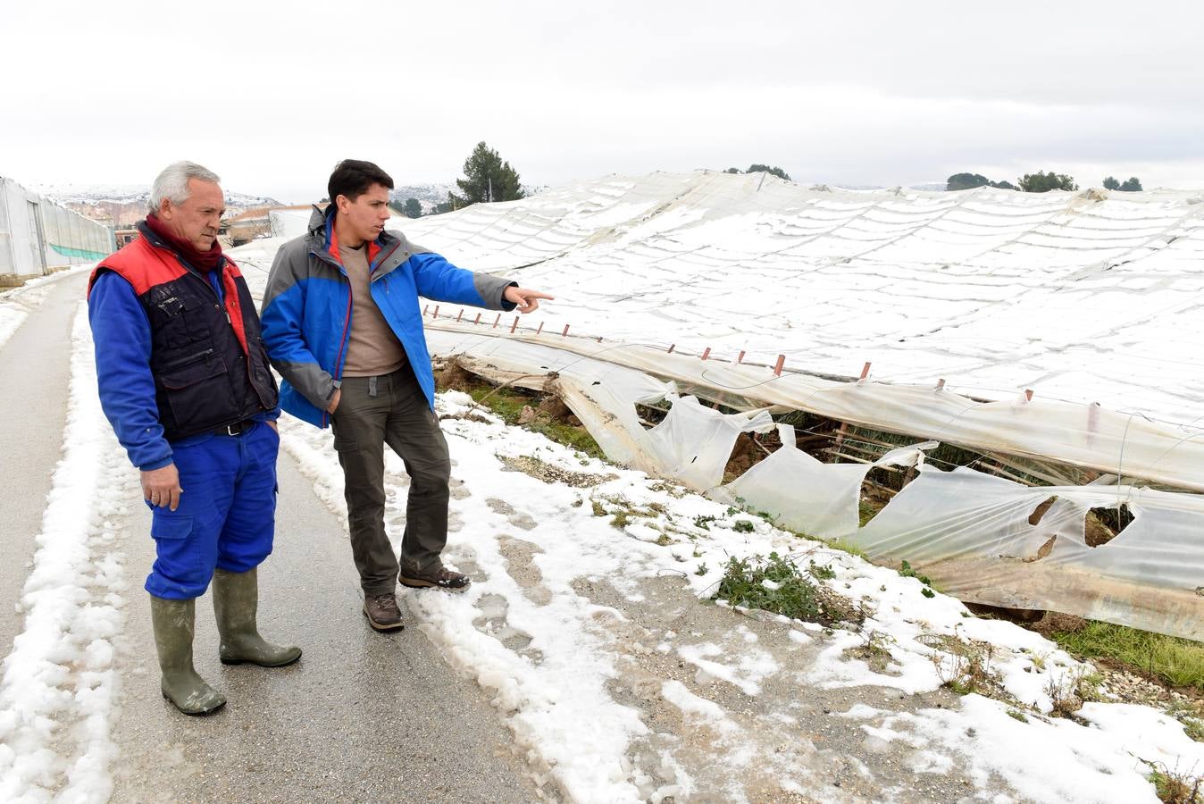 La nieve aplasta 70 invernaderos en Cehegín