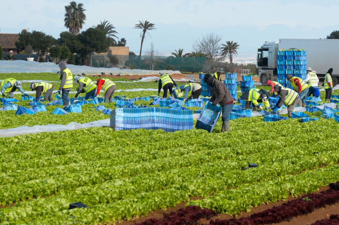 El oeste reverdece con agua y frío