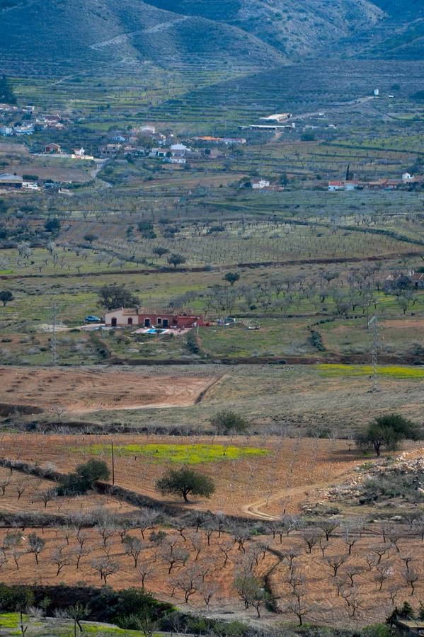 El oeste reverdece con agua y frío