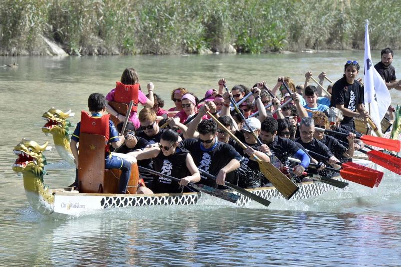 Vuelve al Segura la mejor regata