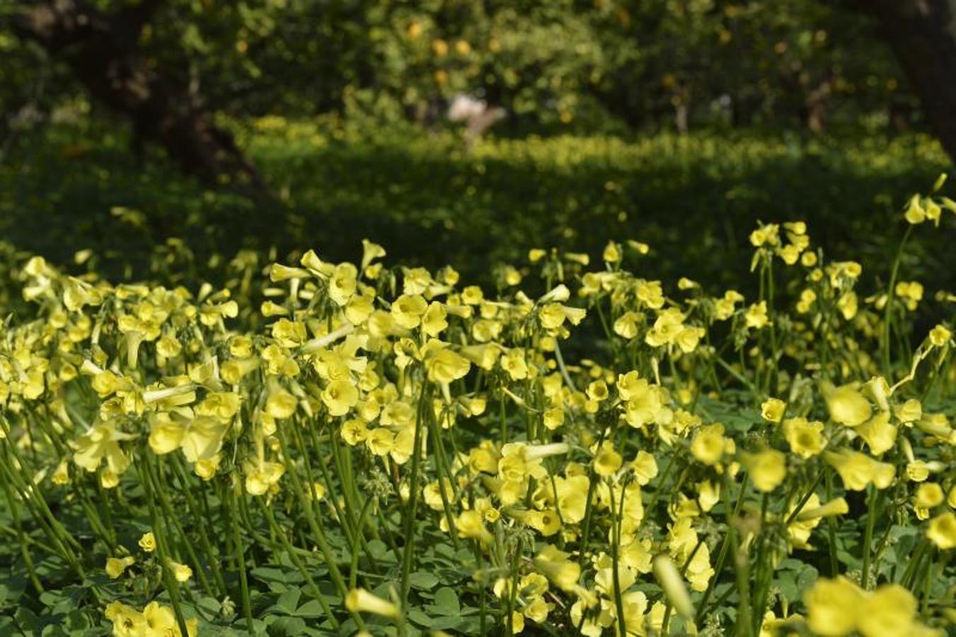 Por el &#039;pueblo de las brujas&#039;