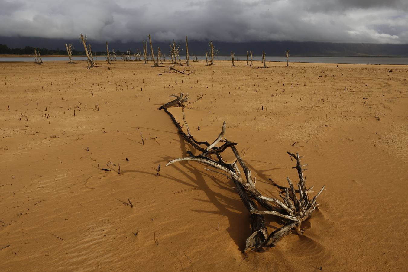 El Día Mundial del Agua sin agua