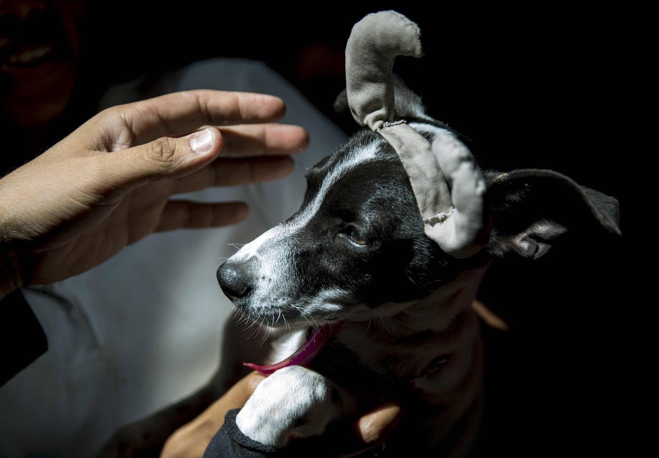 El San Antón nicaragüense