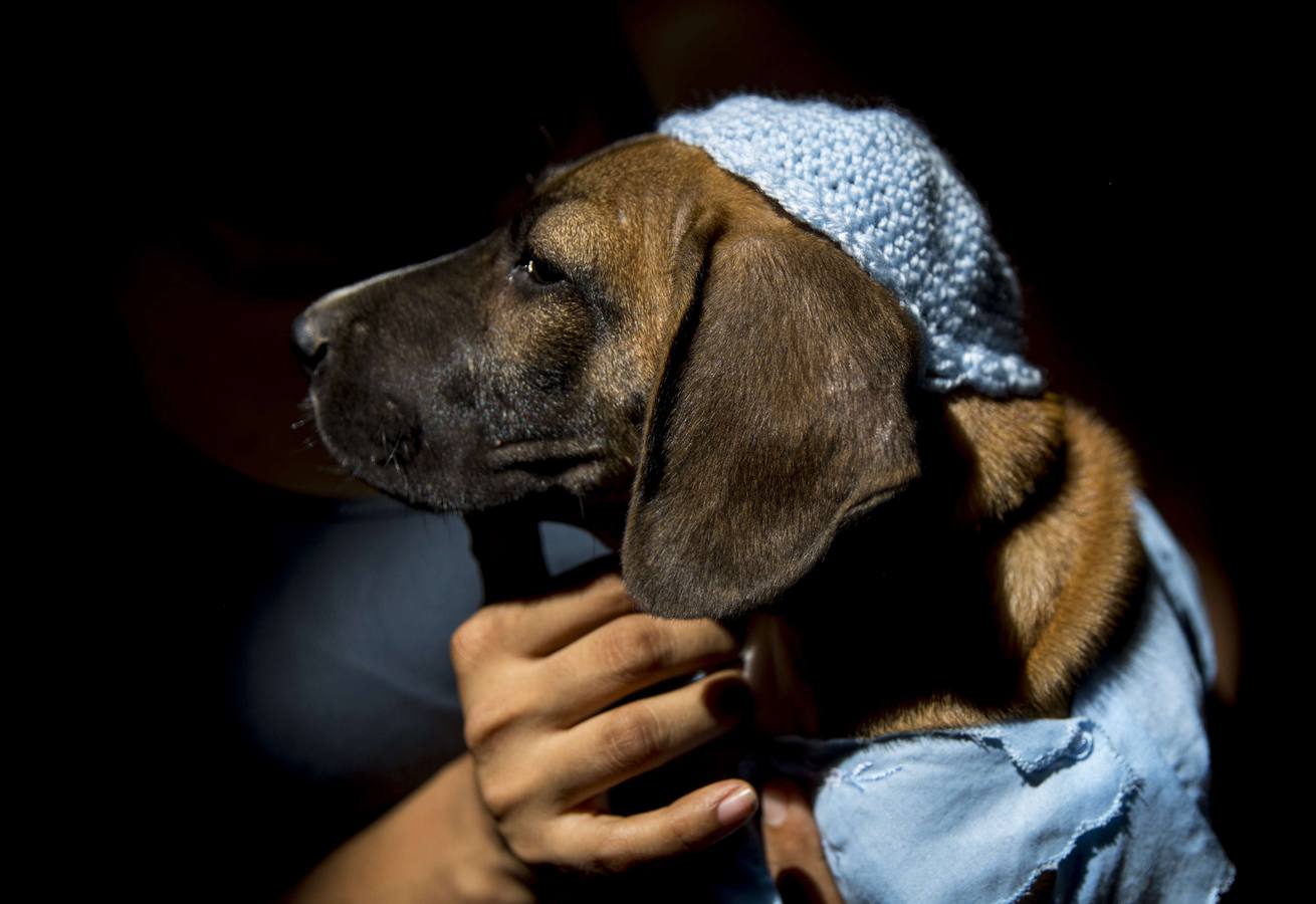 El San Antón nicaragüense