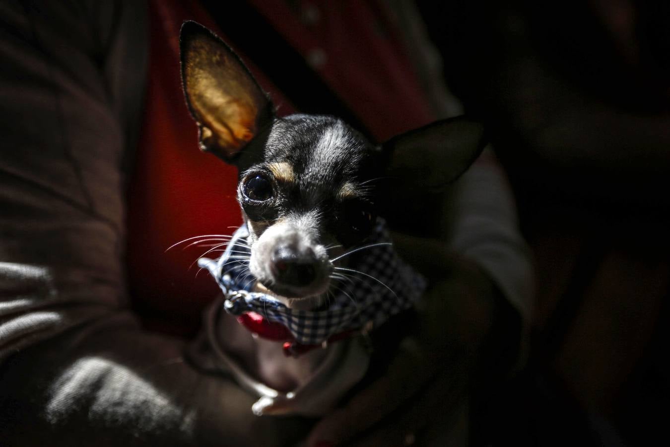 El San Antón nicaragüense