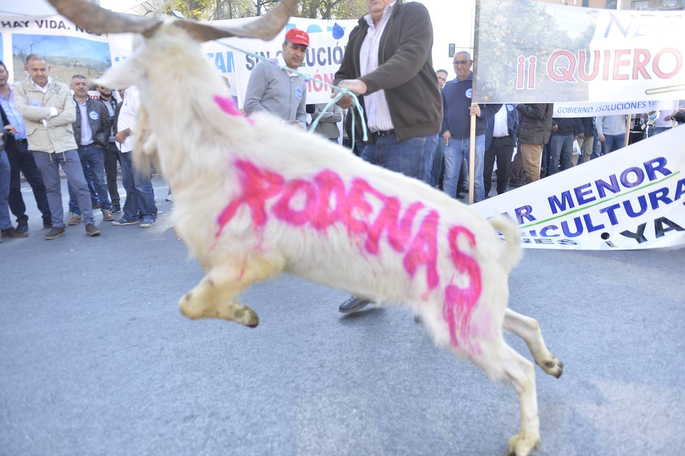 Miles de personas se manifiestan en favor del Mar Menor y la agricultura