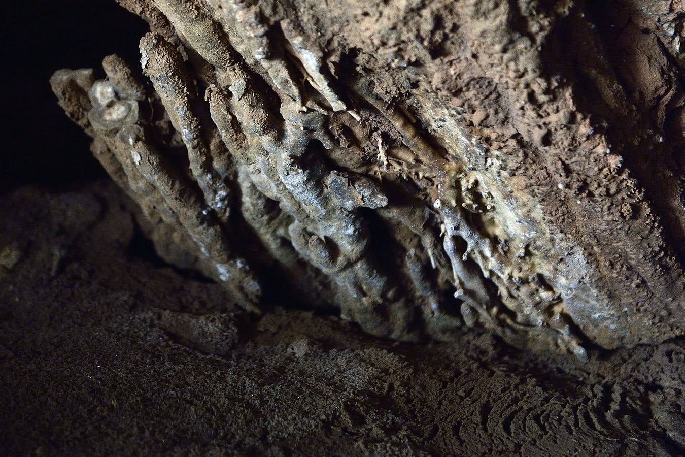 En las playas tropicales de Espuña