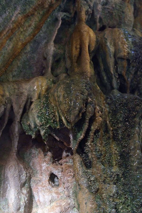 En las playas tropicales de Espuña
