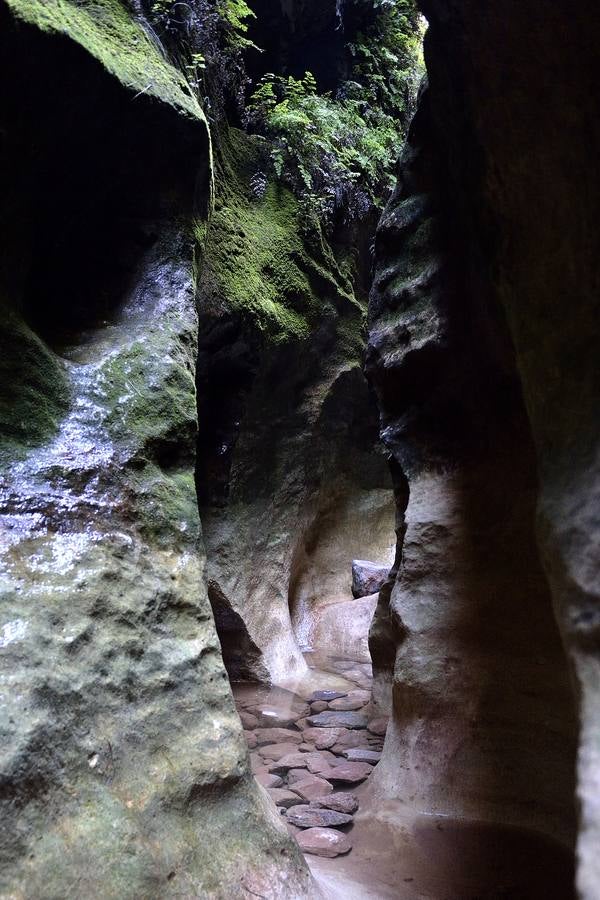 En las playas tropicales de Espuña
