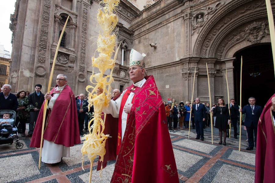 Domingo de Ramos en Murcia: Bendición de las palmas