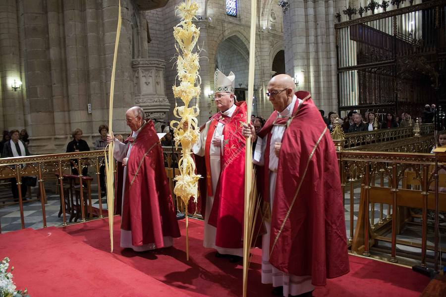 Domingo de Ramos en Murcia: Bendición de las palmas